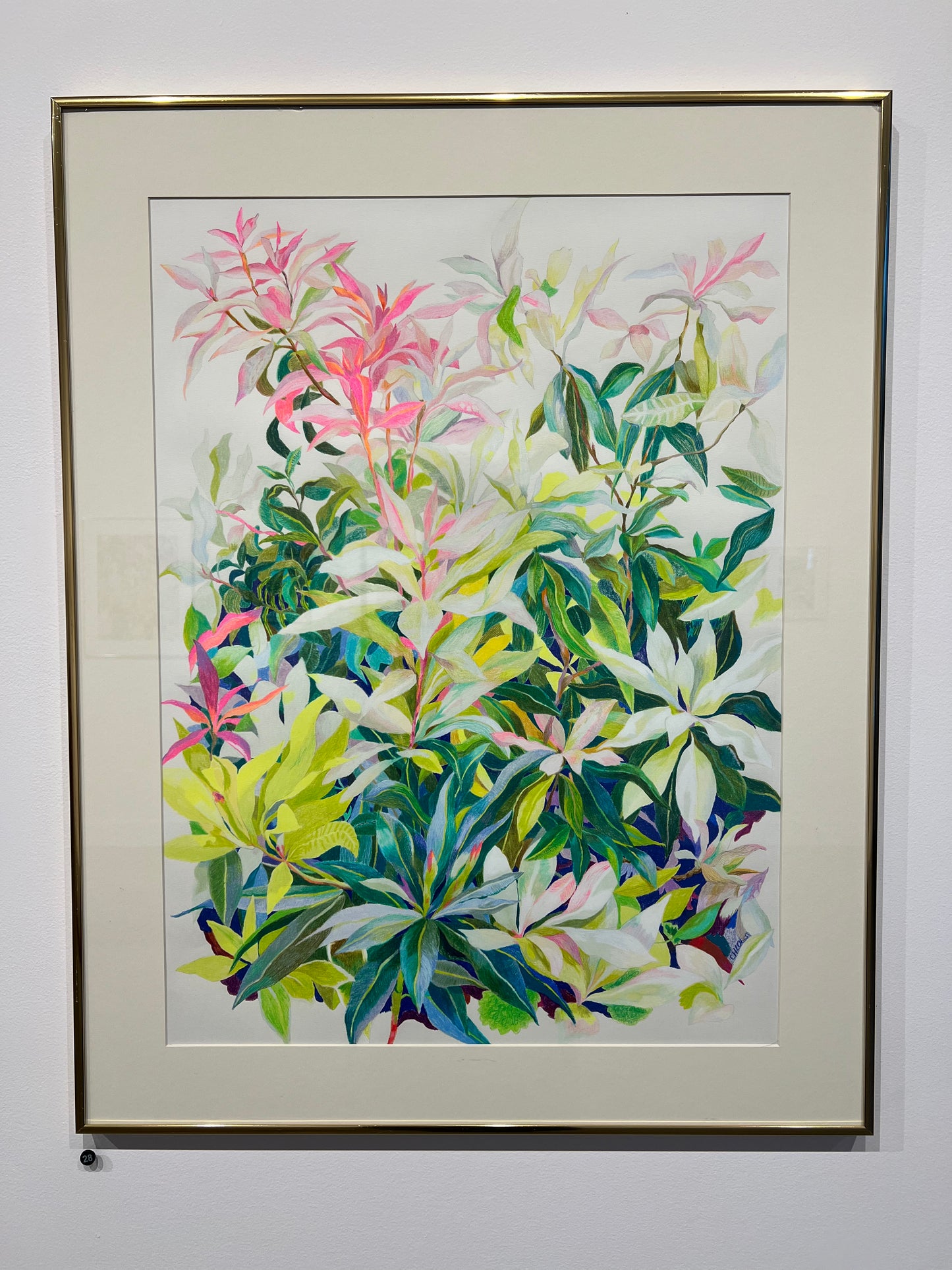 Exquisite Flexibility (#28)