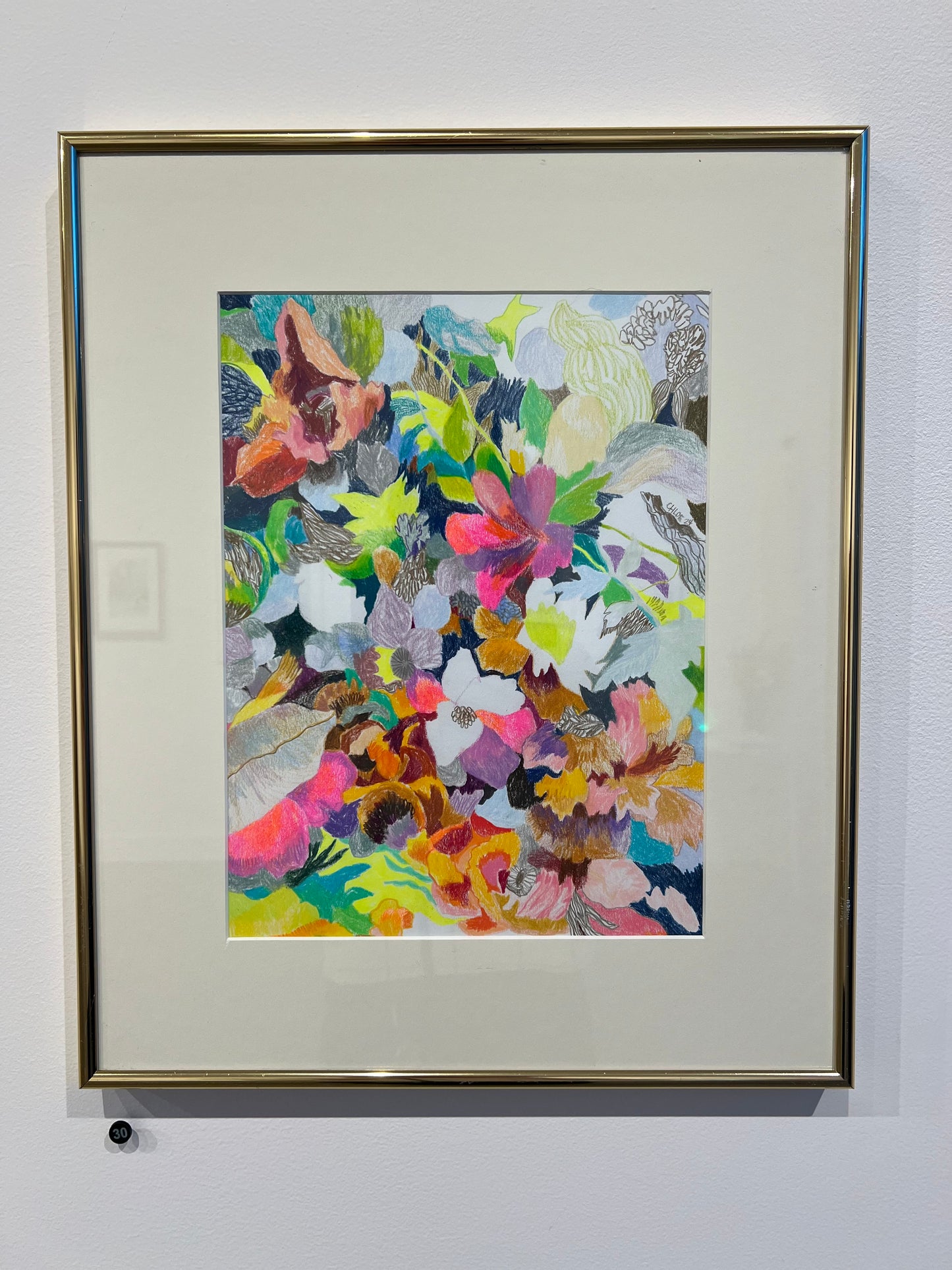 Real or Invented Colors (#30)