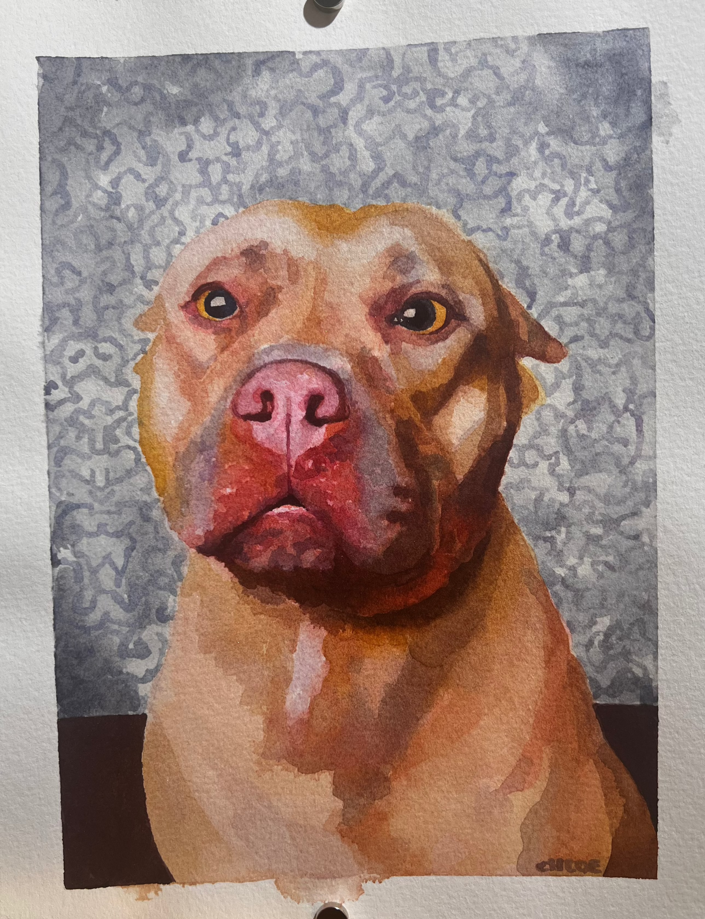 Chloe's Pet Portrait Raffle