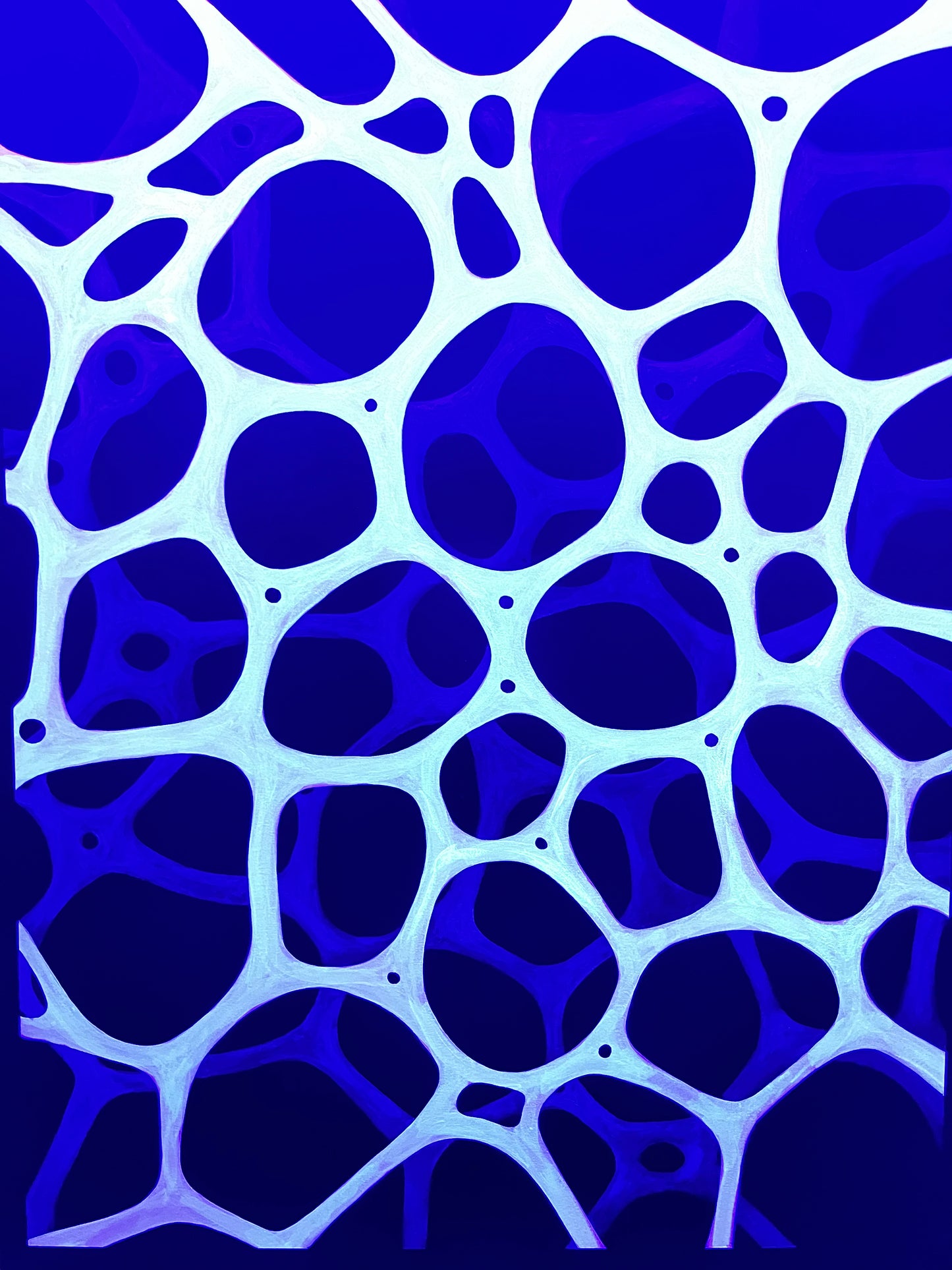 Conformal Symmetries (Green)