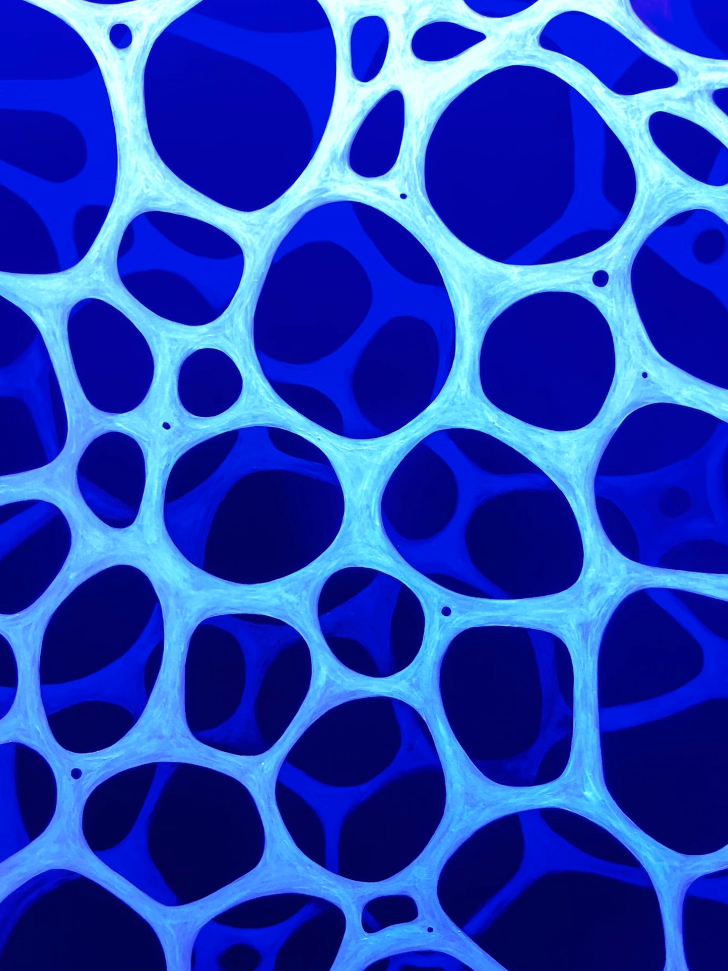 Conformal Symmetries (blue)