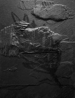 The Corners of the Room: Single Palm (1)