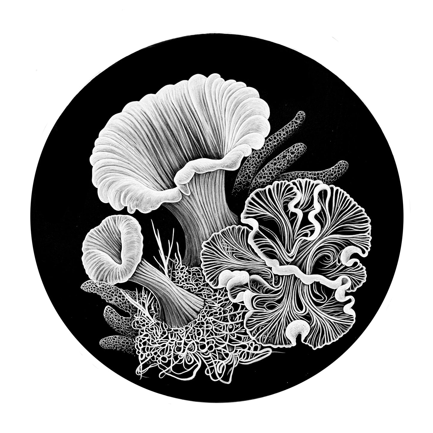 Jeff Sheridan Archival Print