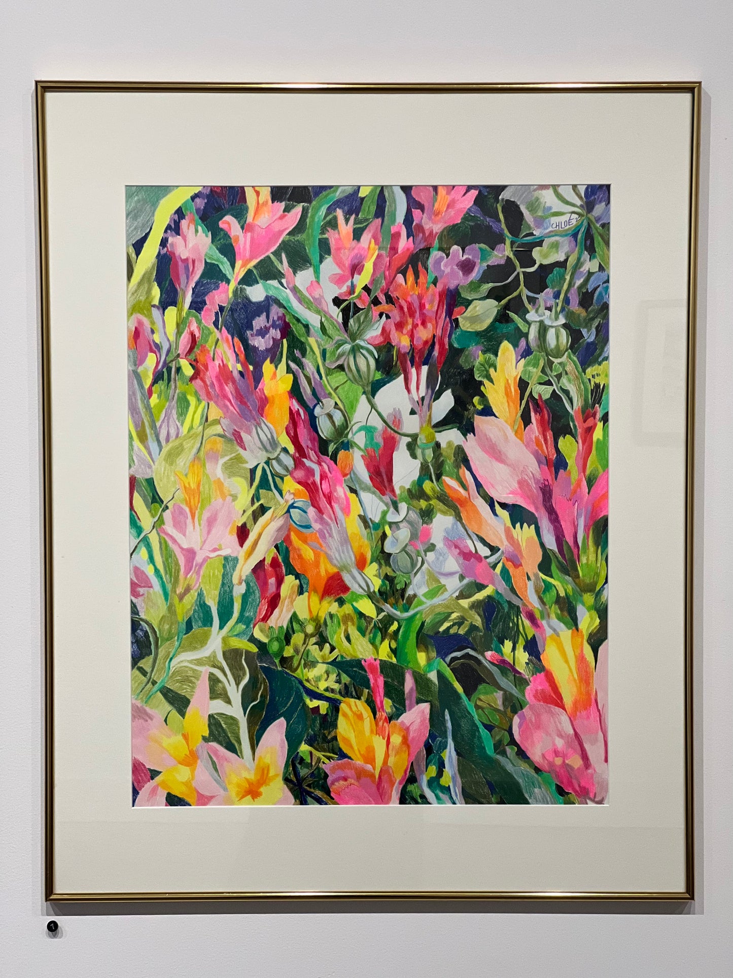 Soft Headed Hallucinations (#7)