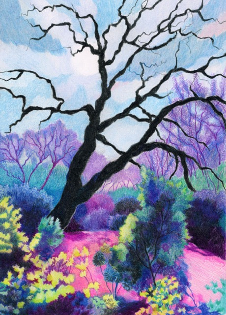 Shaped In My Imagining (#21)