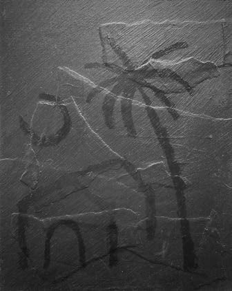 The Corners of the Room: Night Shade (12)