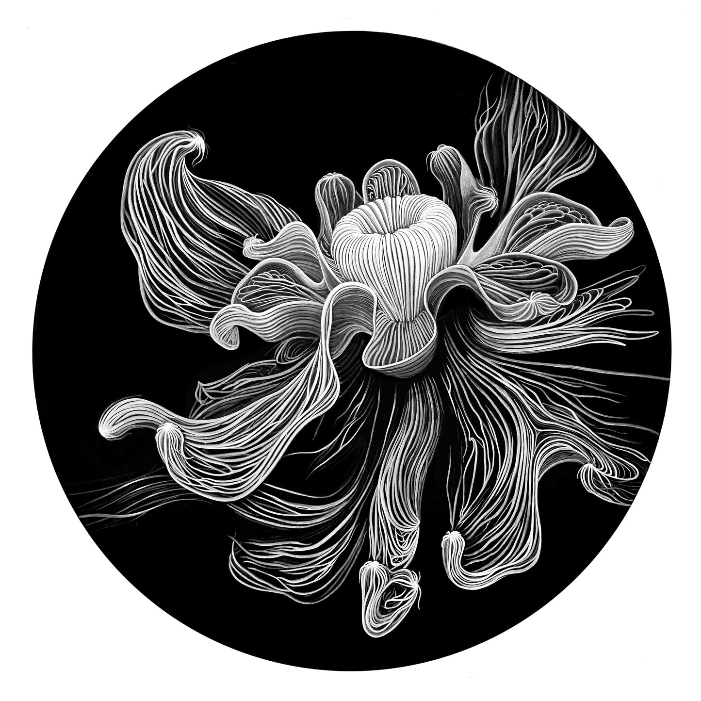 Ghost Bloom Print 12x12"